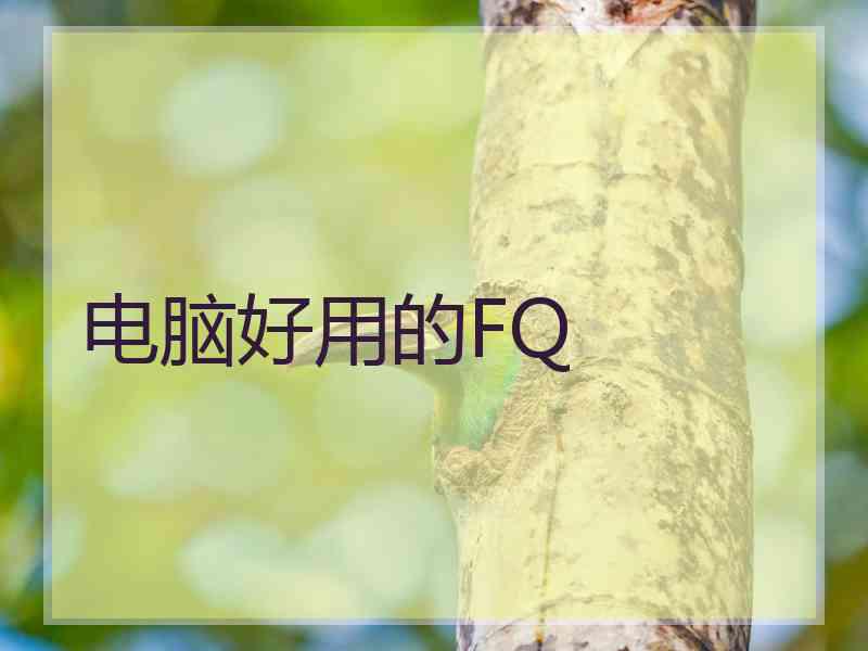 电脑好用的FQ 电脑好用的FQ