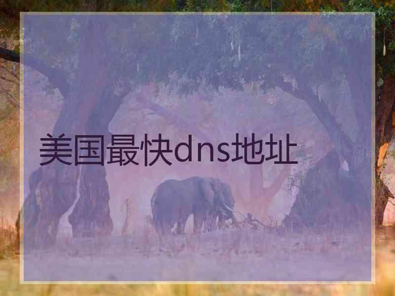 美国最快dns地址 美国最快dns地址