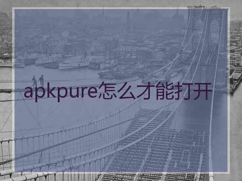 apkpure怎么才能打开 apkpure怎么才能打开