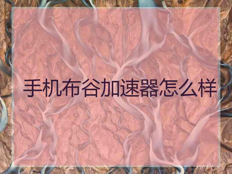 手机布谷加速器怎么样