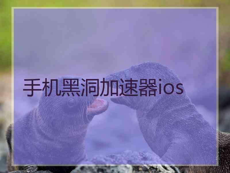 手机黑洞加速器ios