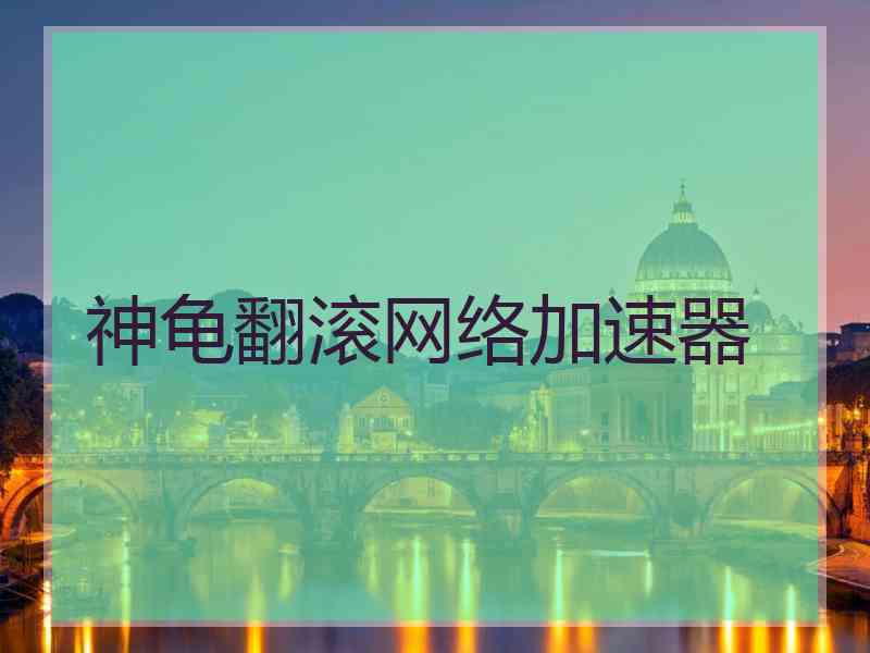 神龟翻滚网络加速器 神龟翻滚网络加速器