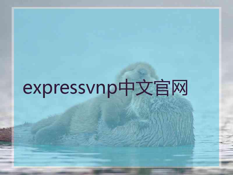 expressvnp中文官网 expressvnp中文官网